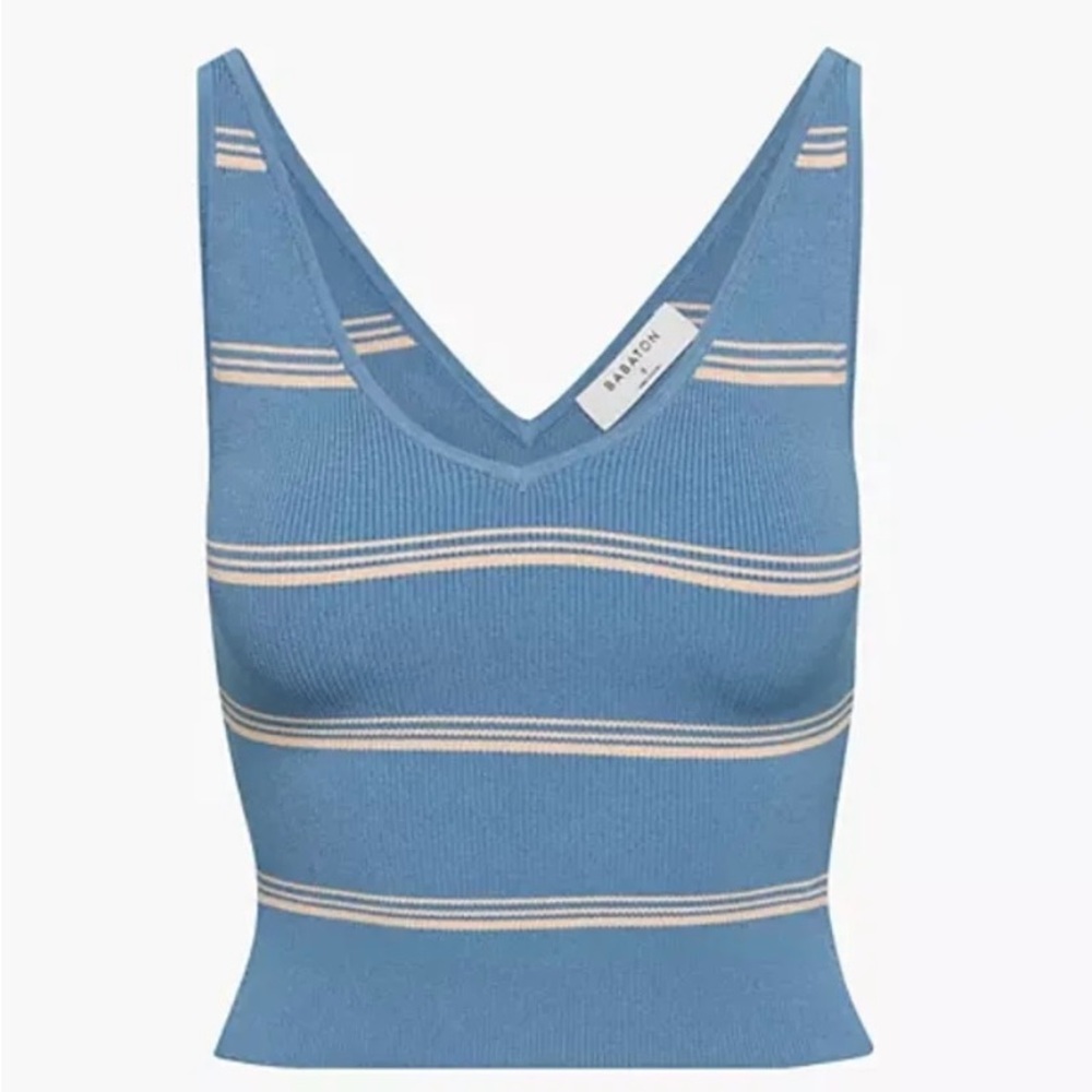 Aritzia Blue Striped Tank Top